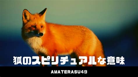 狐 風水|狐を見ることのスピリチュアルな意味とは？お稲荷さんの使いと。